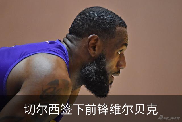 切尔西签下前锋维尔贝克