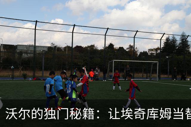 沃尔的独门秘籍：让埃奇库姆当替补，波普首发闯天下